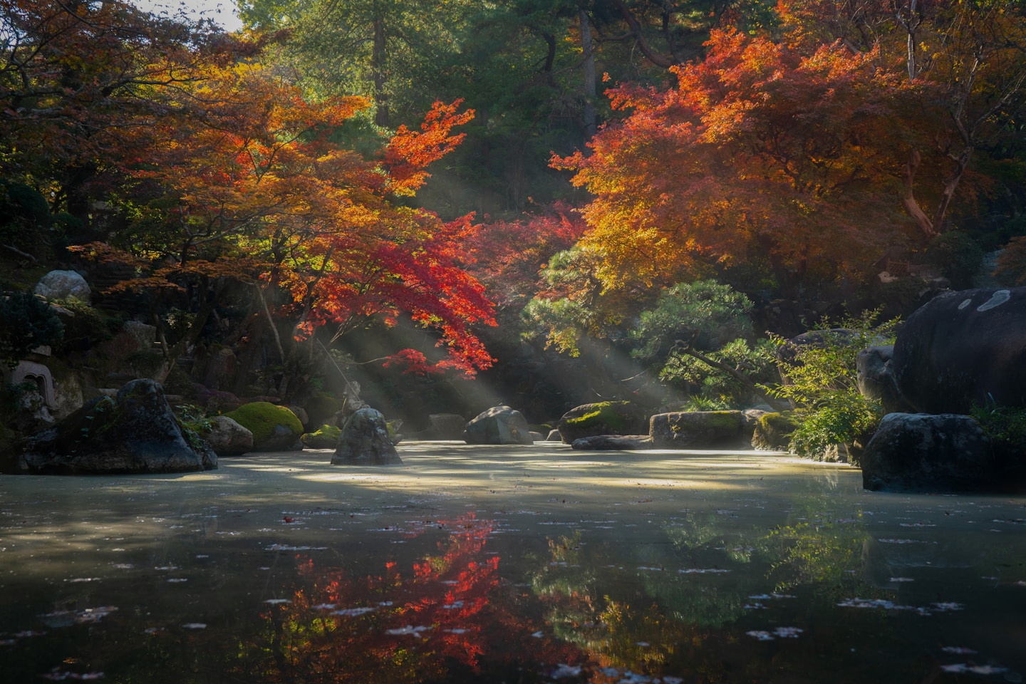 Tokumeien Zen Garden in Takasaki, Japan

[IF YOU USE MY PICTURES, PLS CREDIT ME (insta : @dreiimos)]