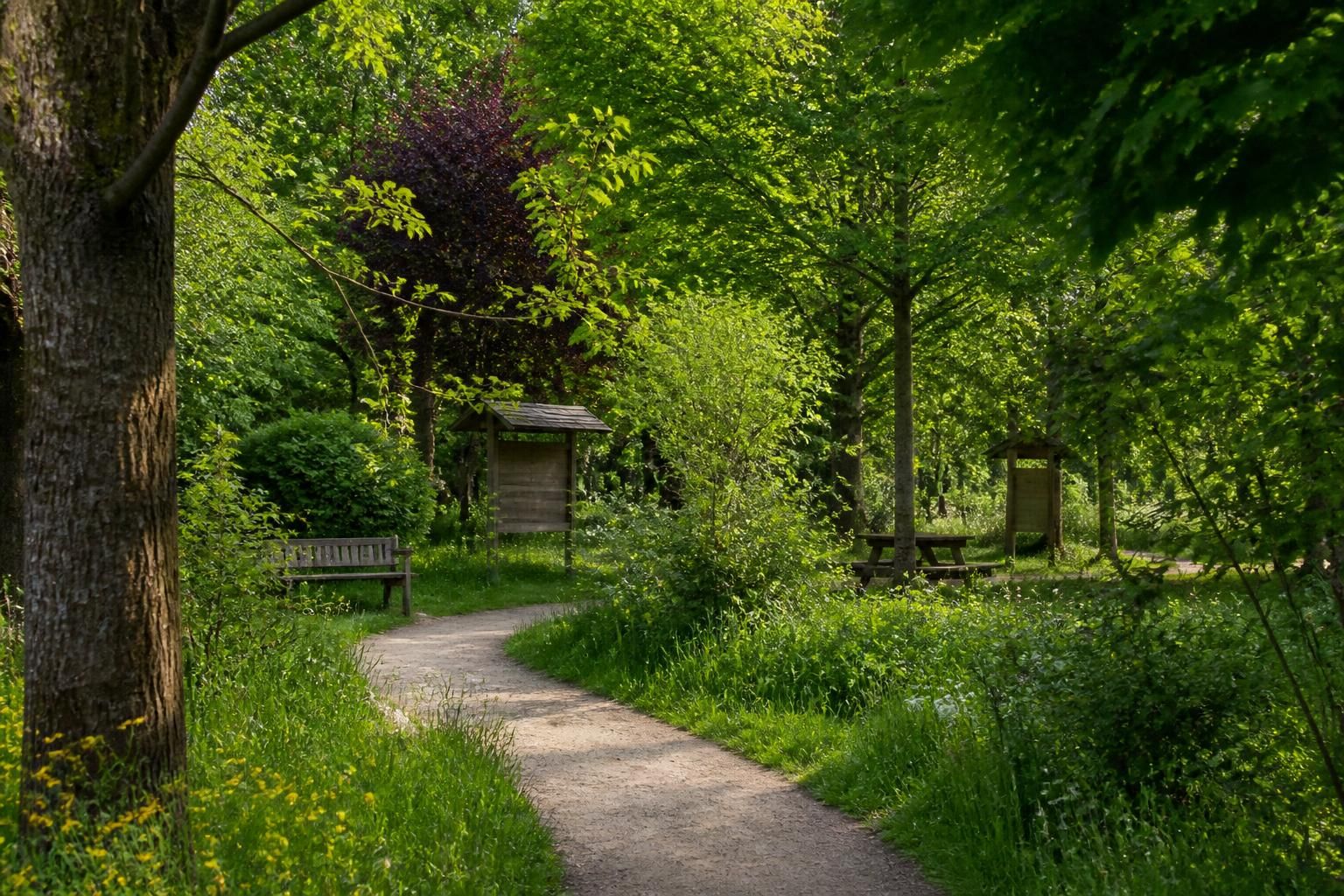 découvrez l'arboretum de nanterre : plan détaillé, adresse précise et toutes les informations pratiques pour organiser votre visite en toute simplicité.